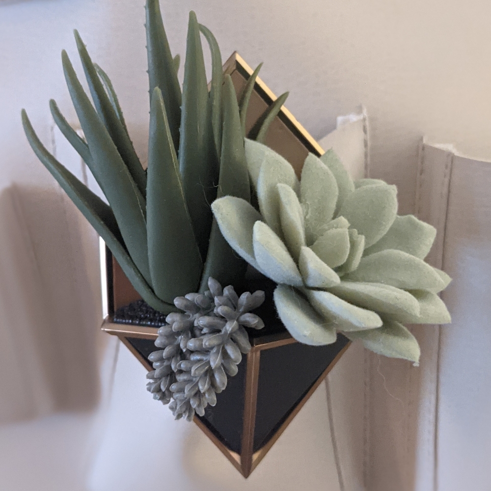 SOLD - Succulent Wallflower
